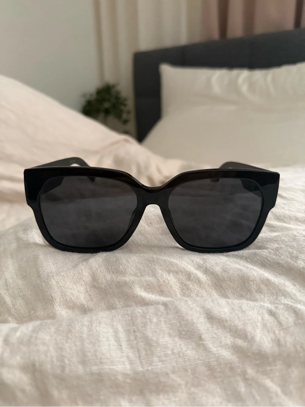 DIOR Wildior BU 54MM Sunglasses